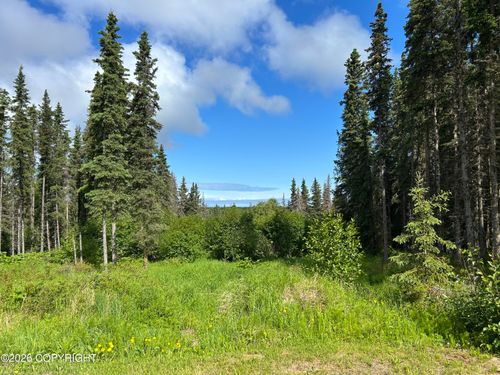 24847 Vega St, Kasilof, AK, 99610 | Card Image