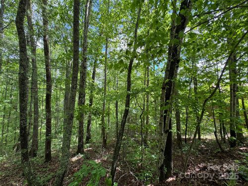 lot-13-99999 Morning Star Dr, Leicester, NC, 28748 | Card Image