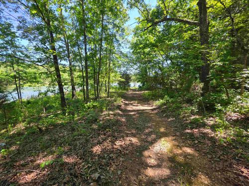 L43, 44 White Horse Mountain Road, Hardy, AR, 72542 | Card Image