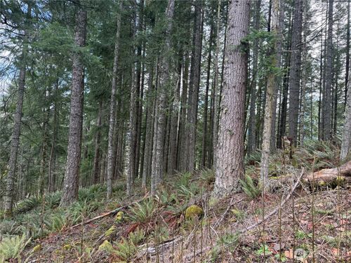 53007 128th Ave E, Eatonville, WA, 98328-7501 | Card Image