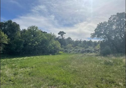 101 Naranjo Creek Rd, La Jara, NM, 87027-9730 | Card Image