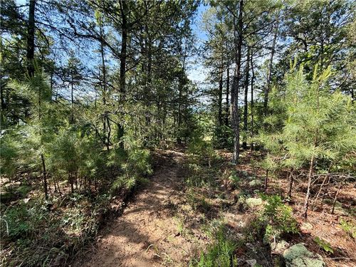 1 Cr 128, Calico Rock, AR, 72519 | Card Image