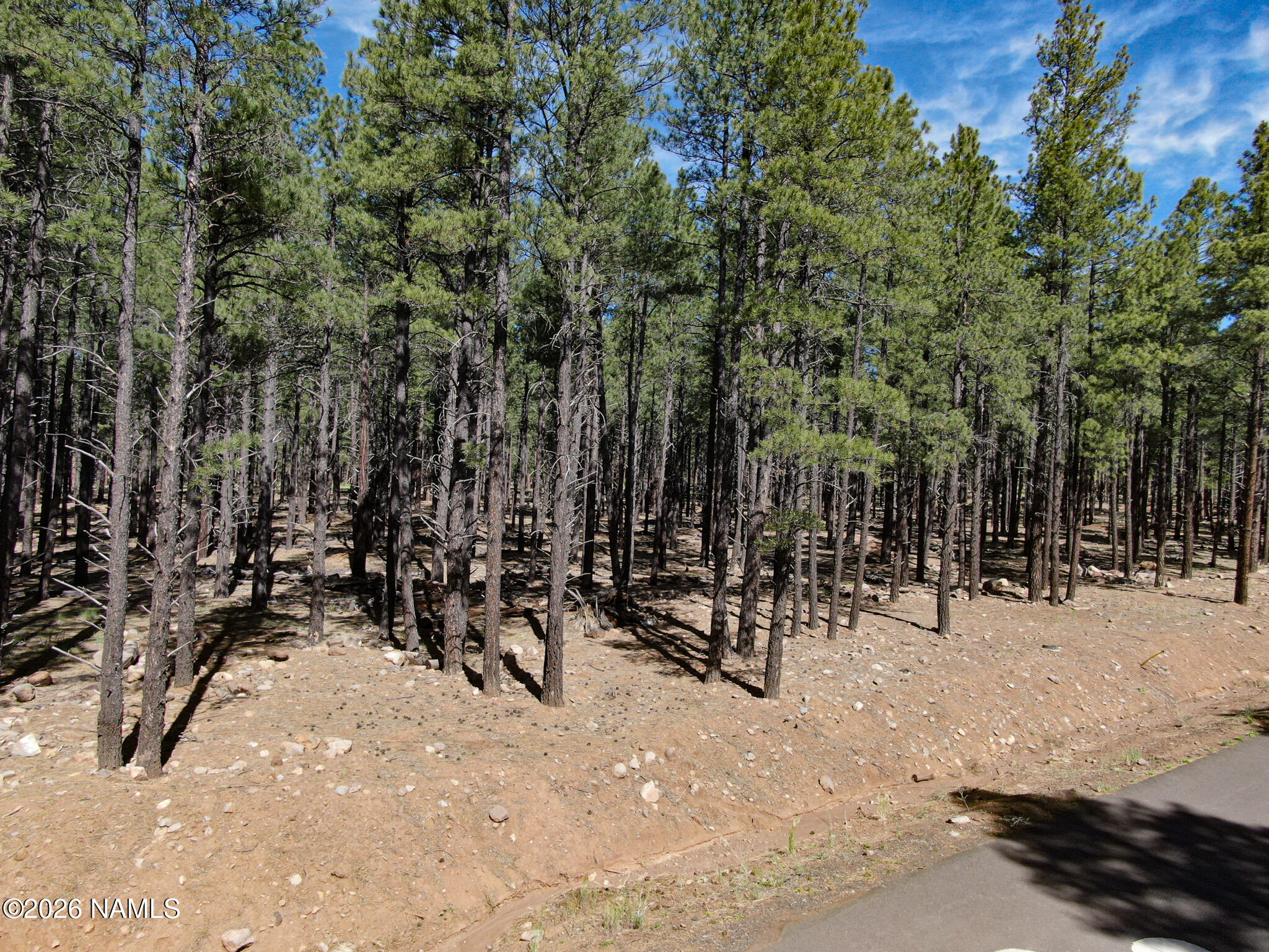 Land in Flagstaff 5
