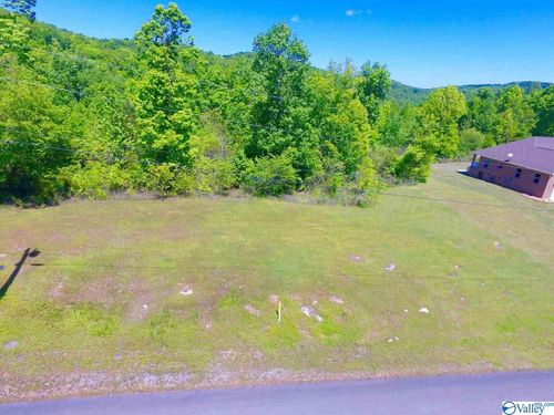 35 Tara Rd, Guntersville, AL, 35976 | Card Image