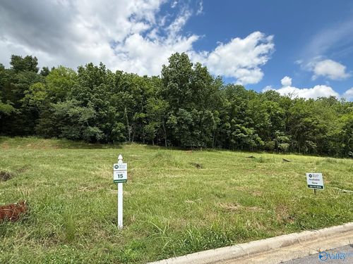 2503 Monte Sano Cove Rd, Brownsboro, AL, 35741-2301 | Card Image