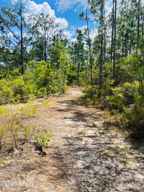 TBD Chaco Cir, Alford, FL, 32420 | Card Image