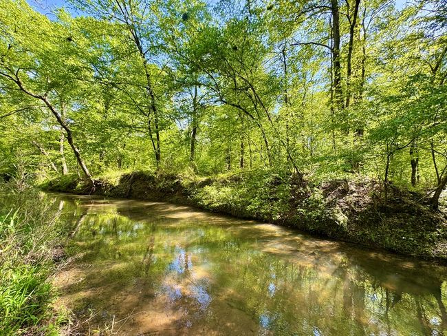 0 Ga Highway 87, Home with 0 bedrooms, 0 bathrooms and null parking in Juliette GA | Image 27