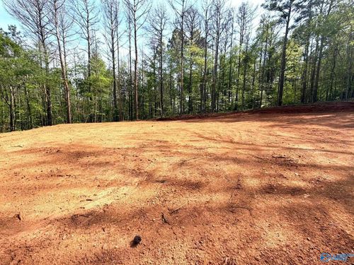78 Acres Pine Street, Steele, AL, 35987 | Card Image