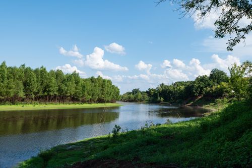 225 County Road 3303, De Kalb, TX, 75559-4105 | Card Image