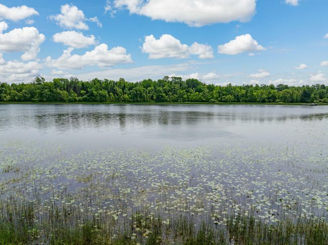 DJI_20250611123220_0370_D-Edit.jpg | Image 53