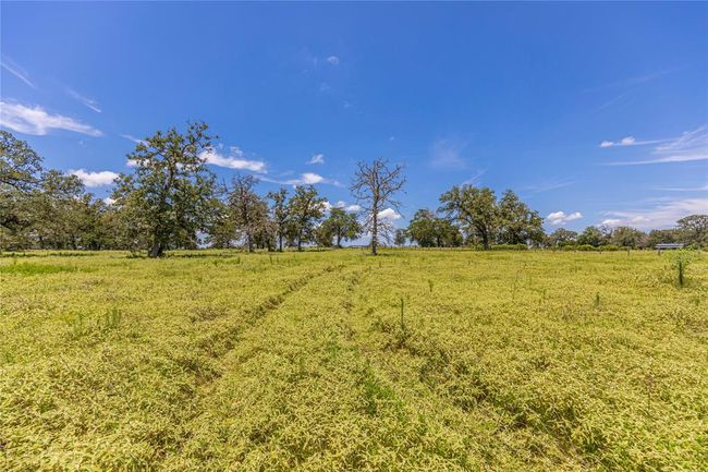 8 Mill Creek Ranch Rd, Home with 0 bedrooms, 0 bathrooms and null parking in New Ulm TX | Image 4