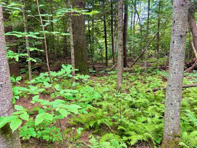 70 - French Pond Road, Home with 0 bedrooms, 0 bathrooms and null parking in Haverhill NH | Image 2