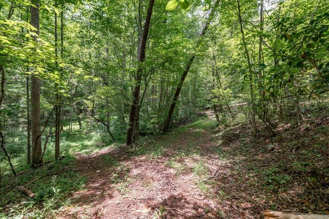 26.18 AC Green Road, Home with 0 bedrooms, 0 bathrooms and null parking in Young Harris GA | Image 16
