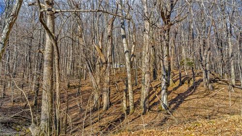 TBD 23 Locust St, West Jefferson, NC, 28694 | Card Image