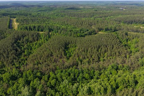 0 Darbytown Rd, Hohenwald, TN, 38462 | Card Image