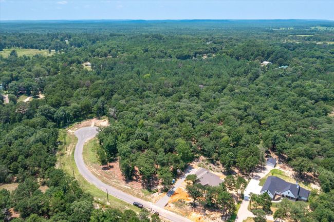 3109 Shadow Pine Dr, Home with 0 bedrooms, 0 bathrooms and null parking in Larue TX | Image 7