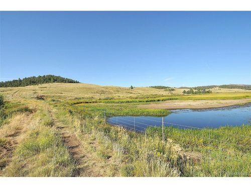 1245 Badger Creek Rd, Hartsel, CO, 80449 | Card Image