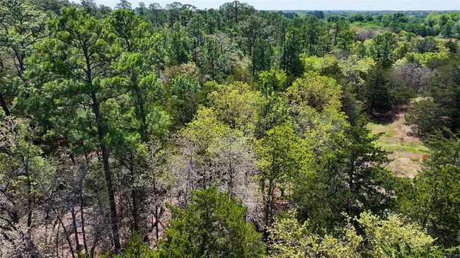 5611 S Us Highway 77, Home with 0 bedrooms, 0 bathrooms and null parking in Warda TX | Image 24