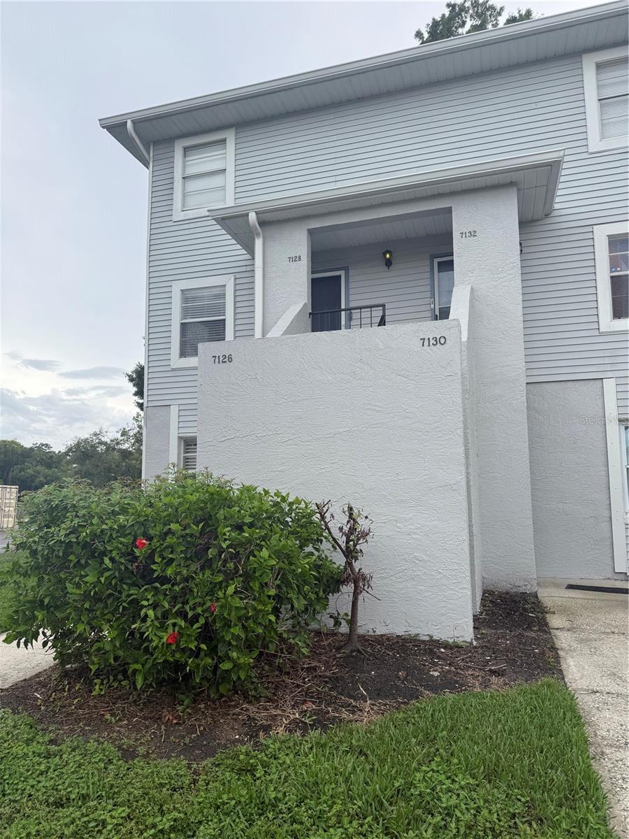 Residential Lease in TAMPA 2