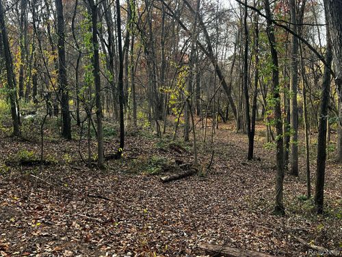 00 Ripple Way Road, White Lake Charter Township, MI, 48383 | Card Image