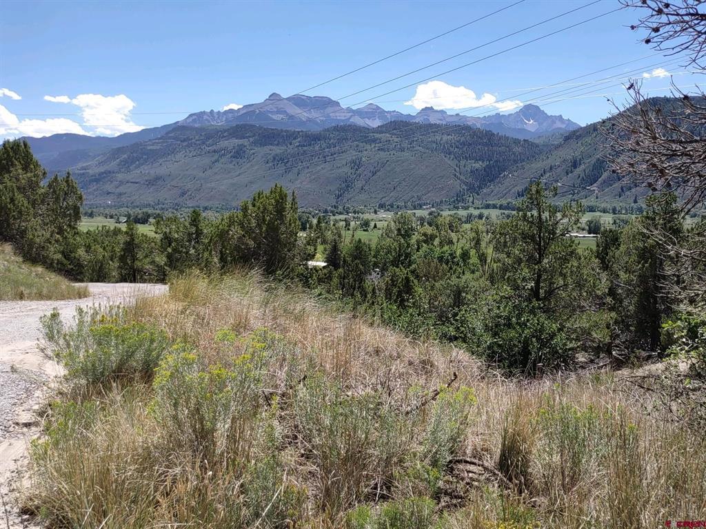 Winding Trl, Ridgway, CO 81432