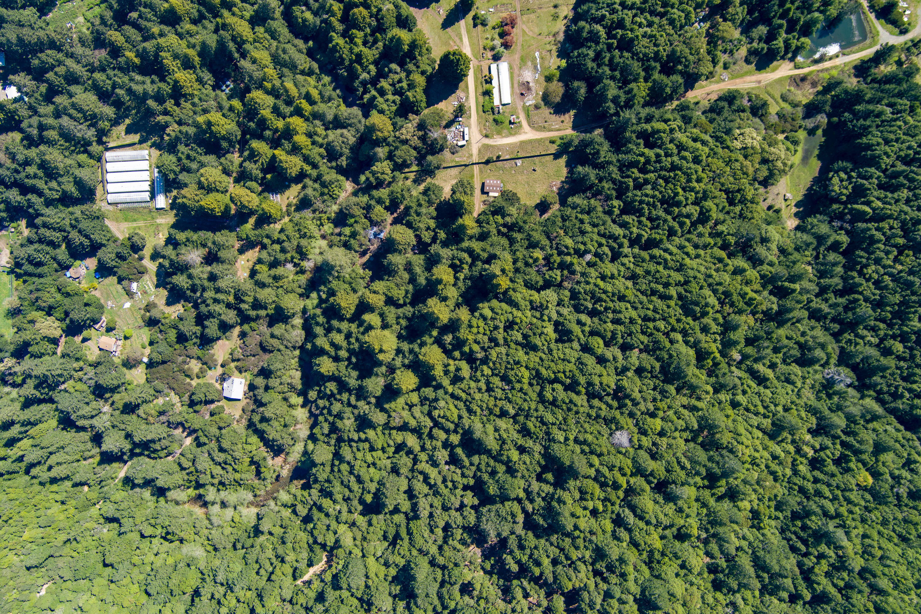 Residential in Whitethorn 4