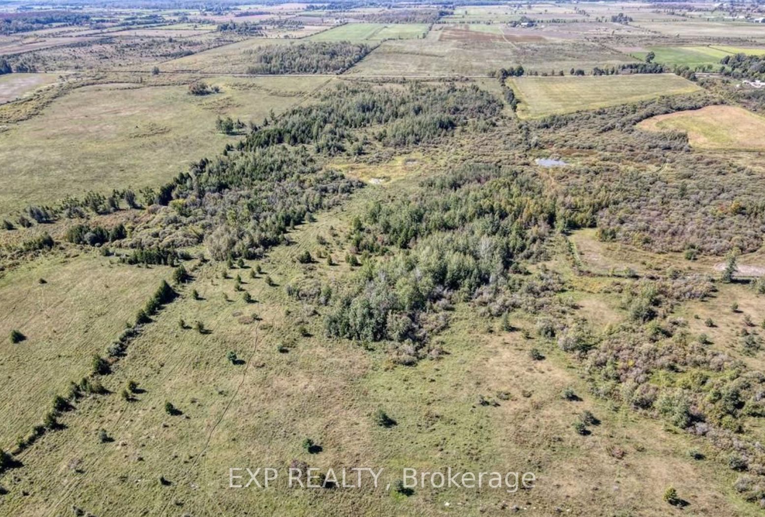 Commercial Lease in Kawartha Lakes 5