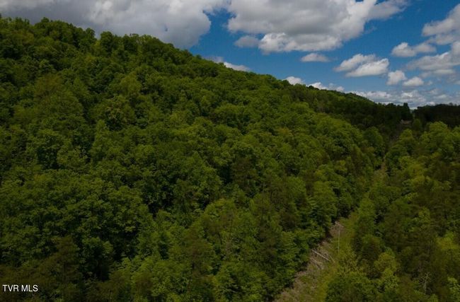 47 Tbd Enoch Rd, Home with 0 bedrooms, 0 bathrooms and null parking in Eidson TN | Image 37