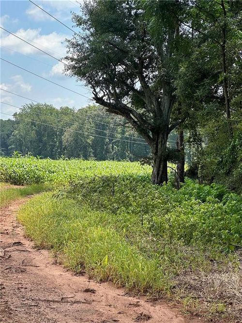 1981 Broughton Rd, Newborn, GA, 30056 | Card Image