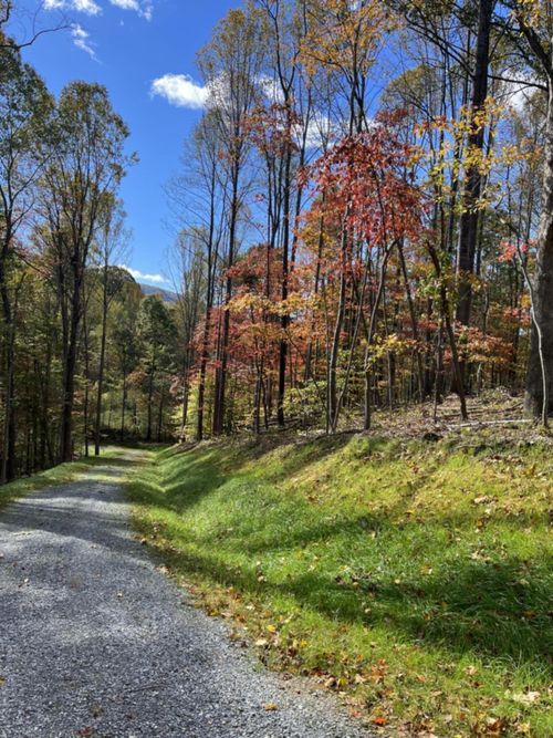0 Little Catawba Creek Rd, Troutville, VA, 24175 | Card Image