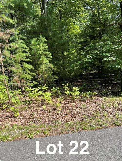 Lot 22 Woods Haven Ln, Stuart, VA, 24171-5434 | Card Image
