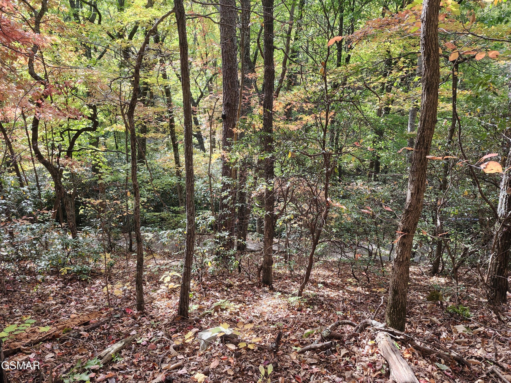 Land in Sevierville