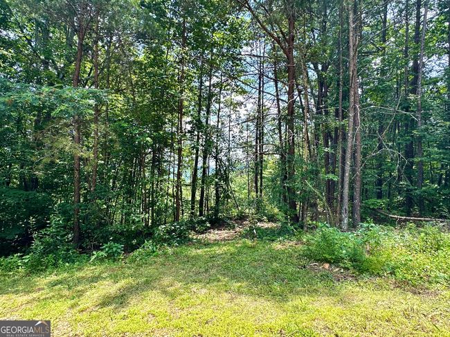 LOT 73 Mountain View Road, Home with 0 bedrooms, 0 bathrooms and null parking in Ellijay GA | Image 15