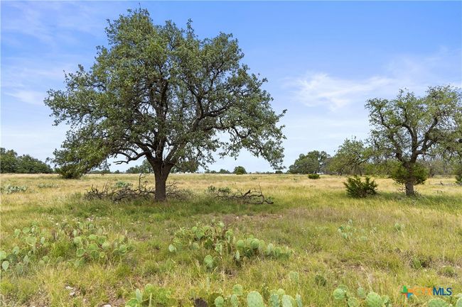 3049 Reservation Rd, Home with 0 bedrooms, 0 bathrooms and null parking in Harper TX | Image 30