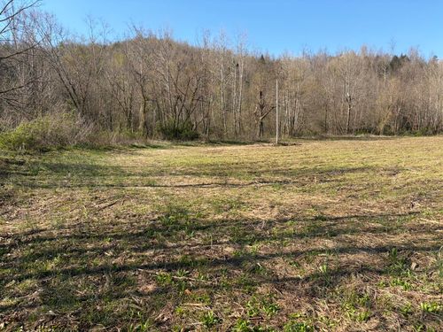 1025 State Highway 589, West Liberty, KY, 41472 | Card Image
