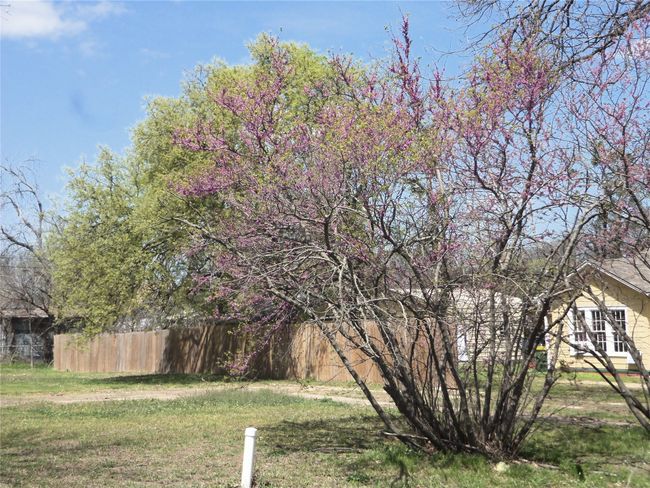 extra lot has electric pole, sewer connection | Image 33