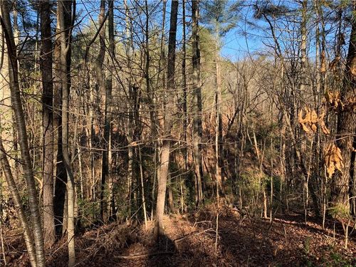 240 N Sanderlin Mtn Dr, Jasper, GA, 30143 | Card Image