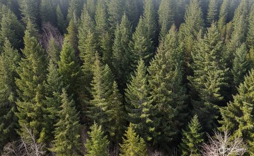 730 Ne Black Bear Rd, Belfair, WA, 98528-7738 | Card Image