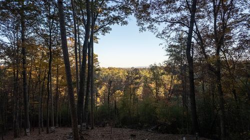 155 Rhondas Way, Ellijay, GA, 30536 | Card Image