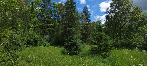 TBD State Highway 1, Effie, MN, 56639 | Card Image