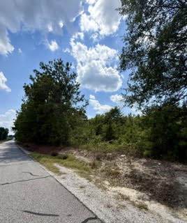Land in Opelika 3