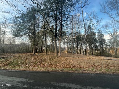 Tbd Hill Station Alley Rd, Gate City, VA, 24251 | Card Image