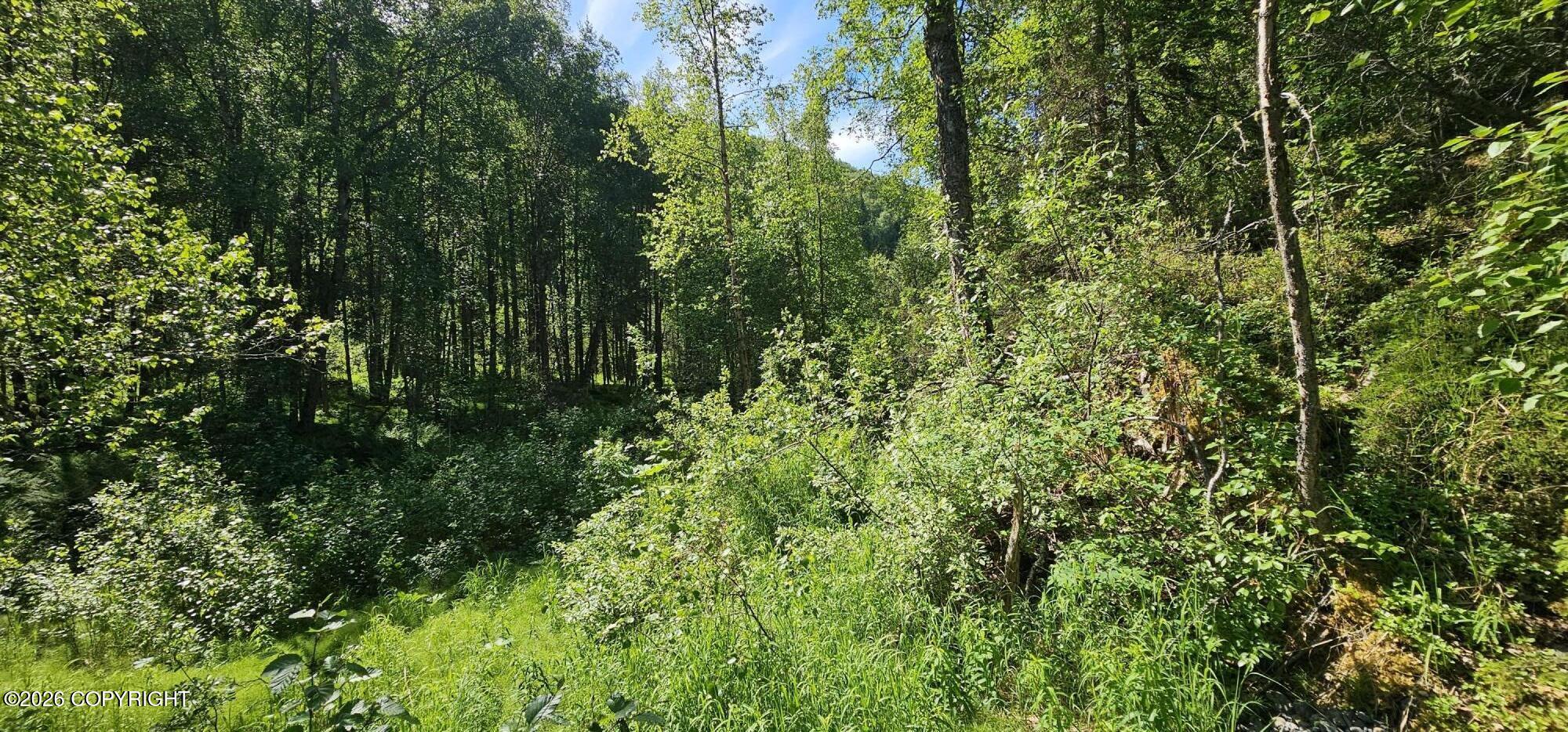 Land in Eagle River 3