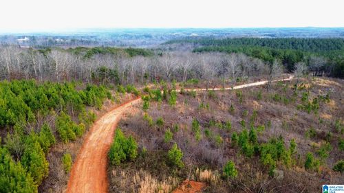228-acres-150 County Road 261, Lineville, AL, 36266 | Card Image