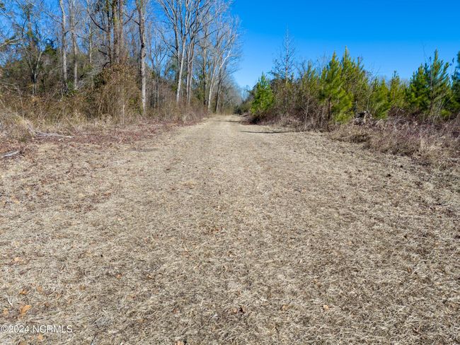 00 Sykes Town Rd, Home with 0 bedrooms, 0 bathrooms and null parking in Currie NC | Image 25