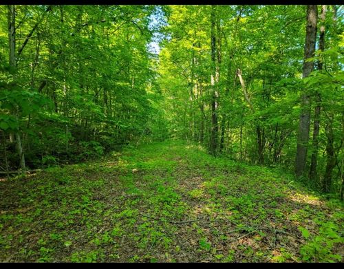 0 Shetland Trce, Sparta, TN, 38583 | Card Image