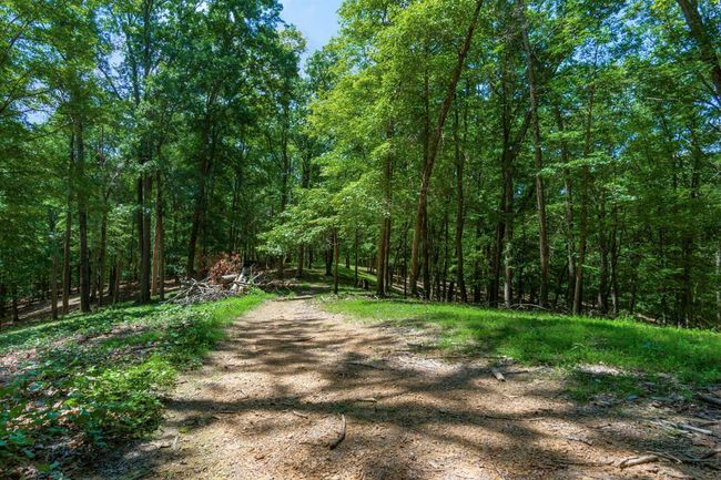 58501 Us Highway 50, Home with 0 bedrooms, 0 bathrooms and null parking in Mc Arthur OH | Image 59