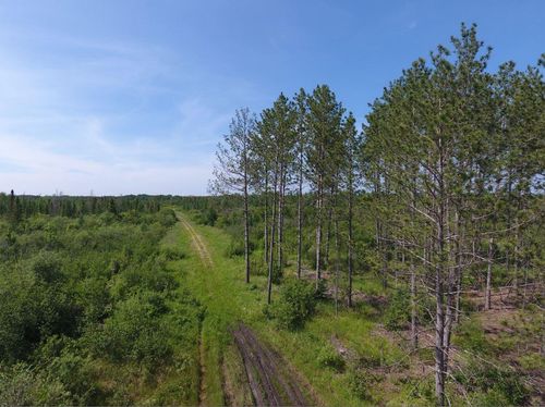 XXXX State Highway 71, Big Falls, MN, 56627 | Card Image