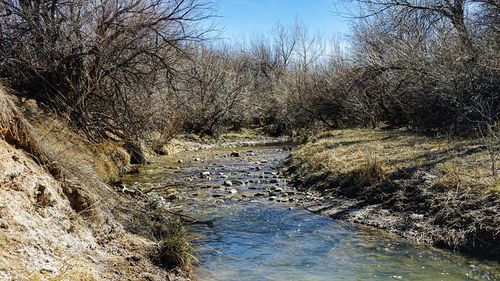 161 Colorado Land & Livestock, Walsenburg, CO, 81089 | Card Image