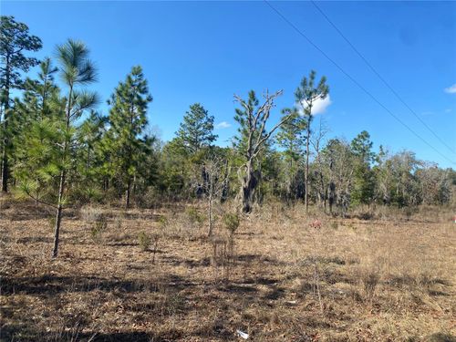 235 Michigan Dr, Hawthorne, FL, 32640-4707 | Card Image